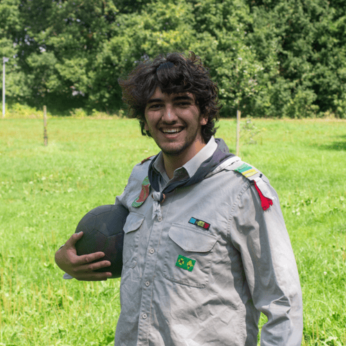 Vermakelijke Groenling