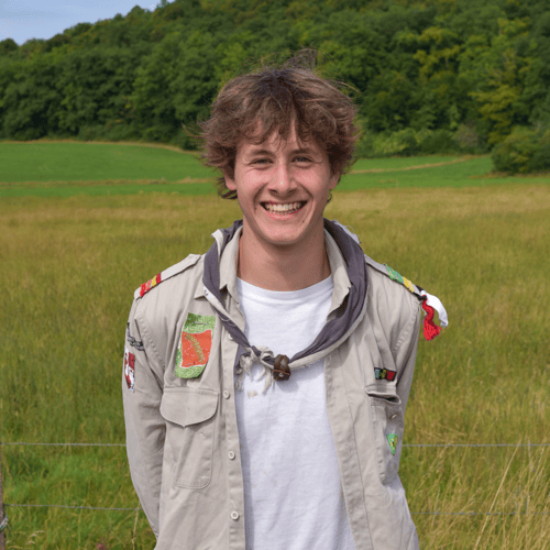 Olijke Wasbeer