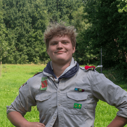 Volhardende Wever